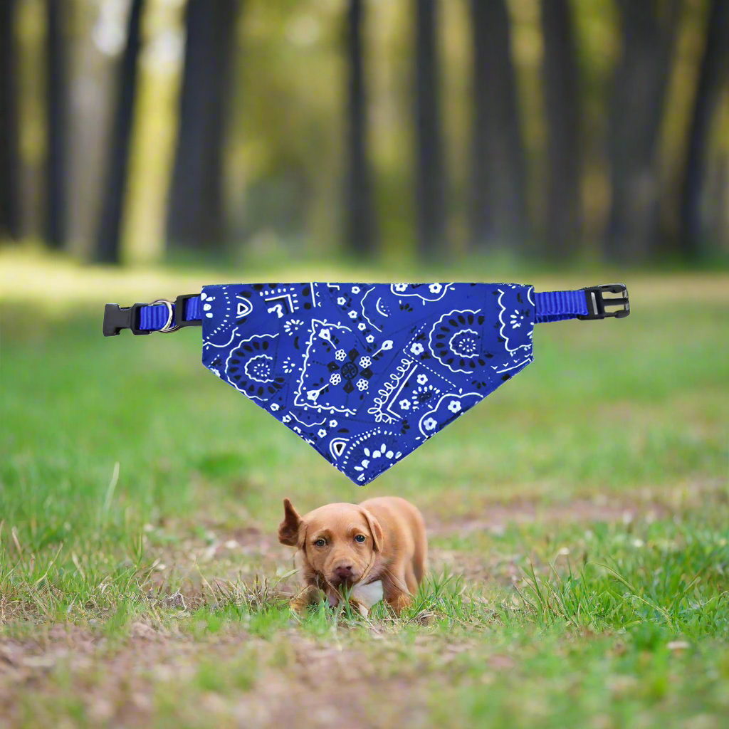 Collier chien BandanaColl leger