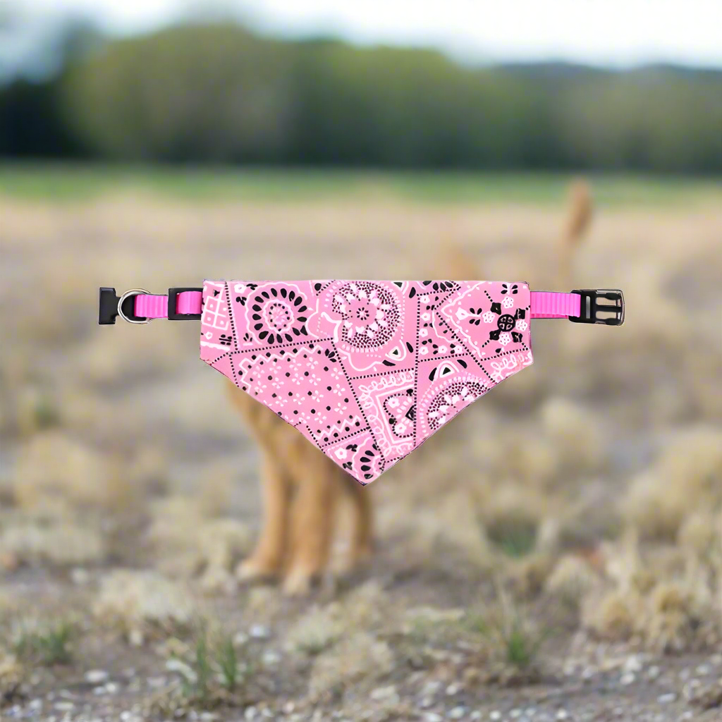 Collier chien BandanaColl polyester doux