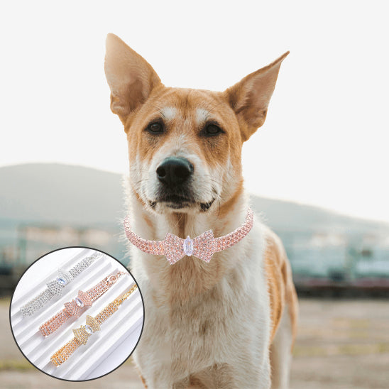 Collier chien LuxeLoulou rose pratique