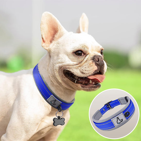 Collier chien - NeoGuard™