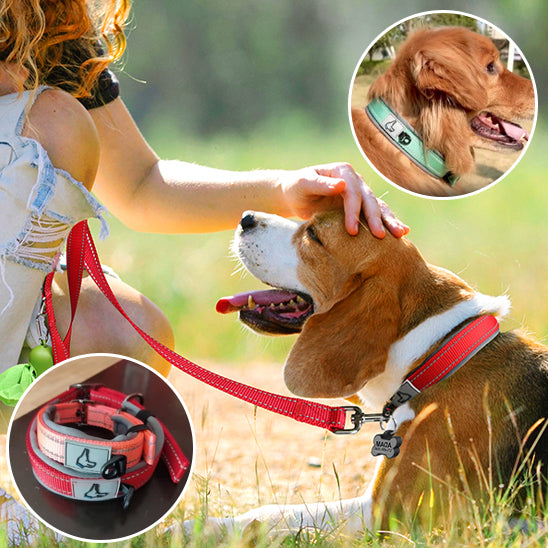 Collier chien - NeoGuard™