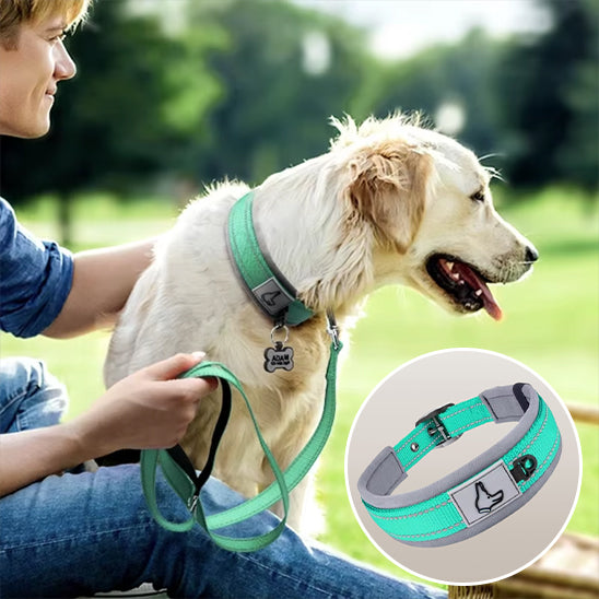 Collier chien - NeoGuard™