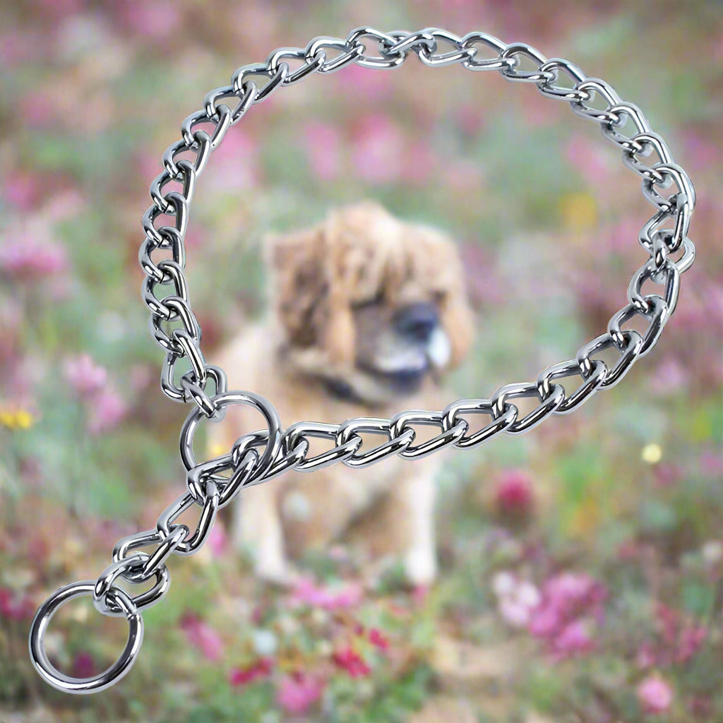 Collier chien SteelControl chrome