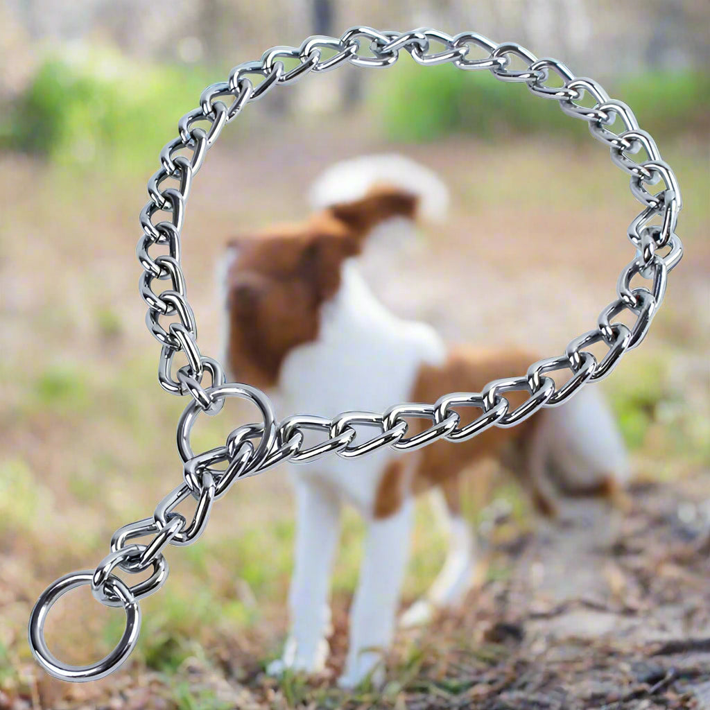 Collier chien SteelControl durable
