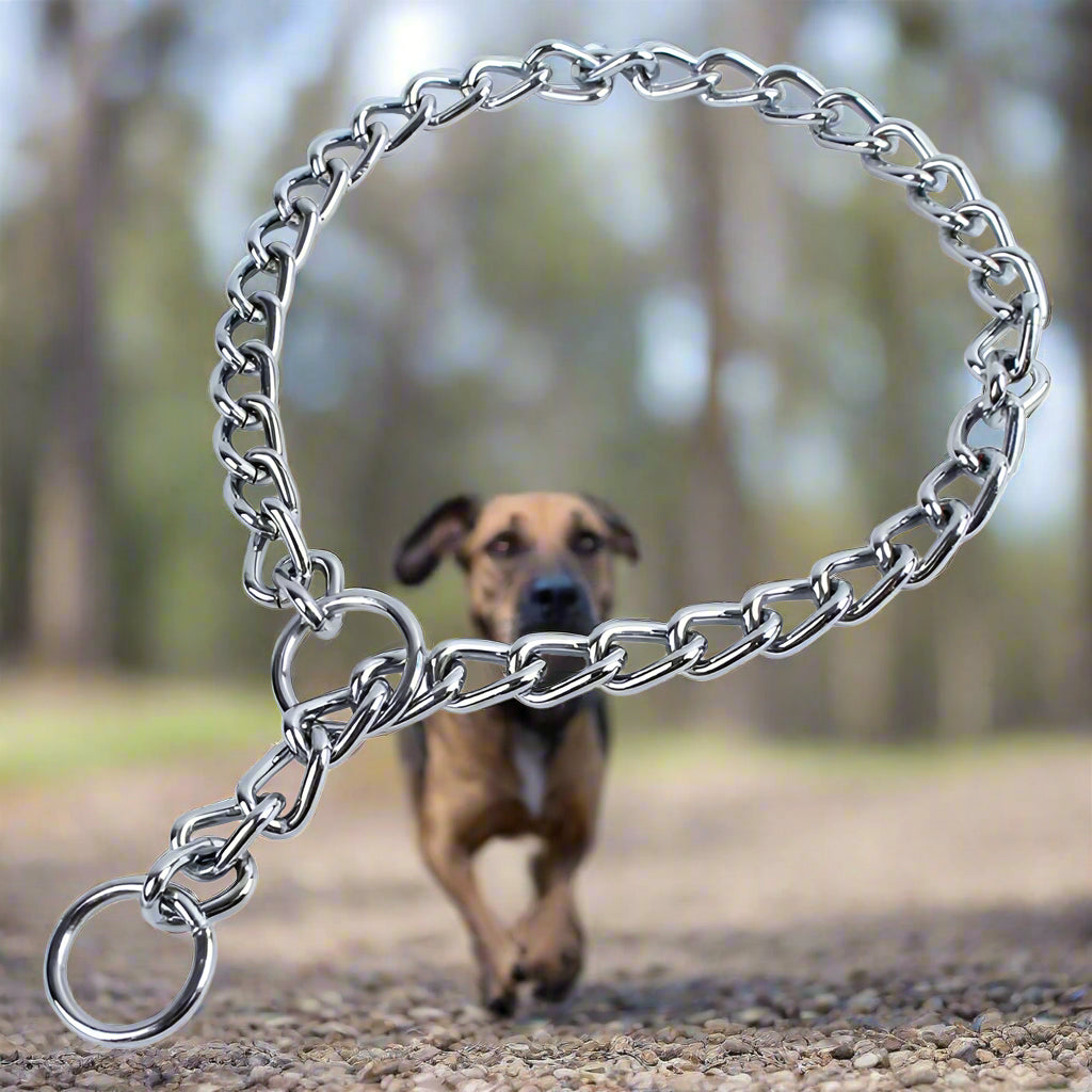 Collier chien SteelControl efficace