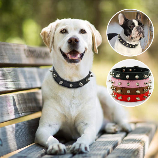 Collier chien cuir IronDog cuir epais
