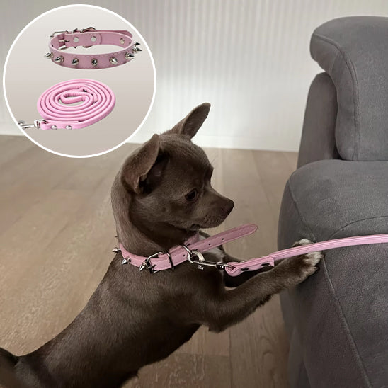 Collier chien cuir IronDog robuste