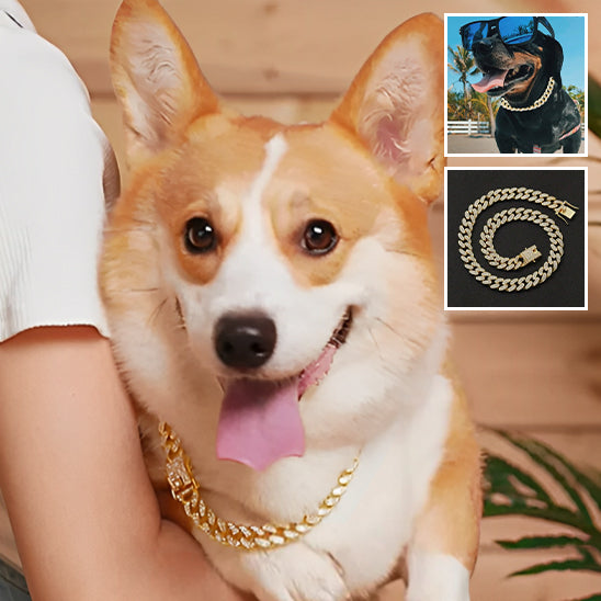Collier-pour-chien-BijouFlex-durable