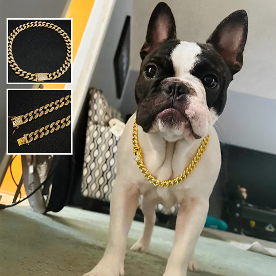Collier pour chien BijouFlex elegant