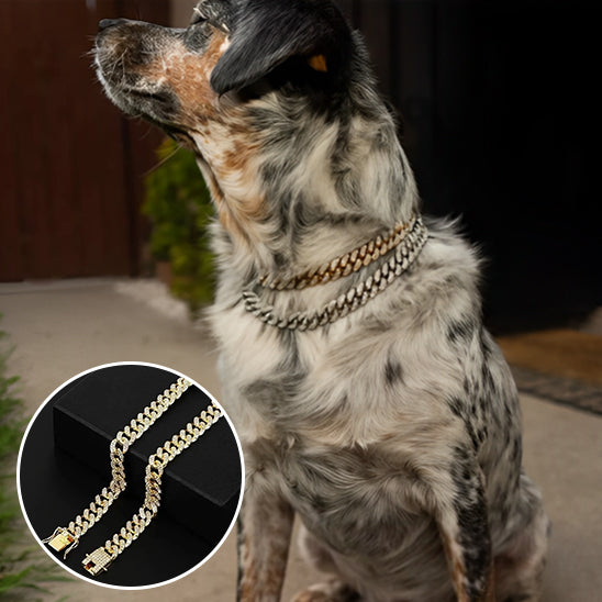 Collier pour chien BijouFlex flexible