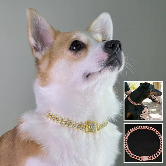 Collier pour chien BijouFlex haute qualite