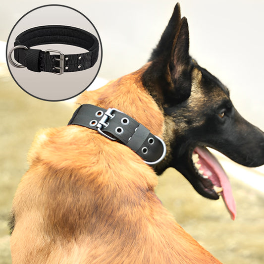 Collier pour chien DogShield ultra resistant