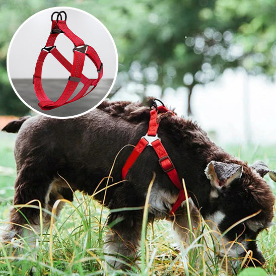 Harnais chien PetShield ajustement rapide