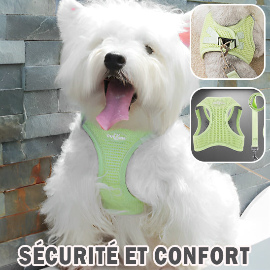 Harnais petit chien VitalPaws fluide