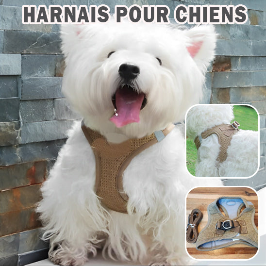 Harnais petit chien VitalPaws respirant