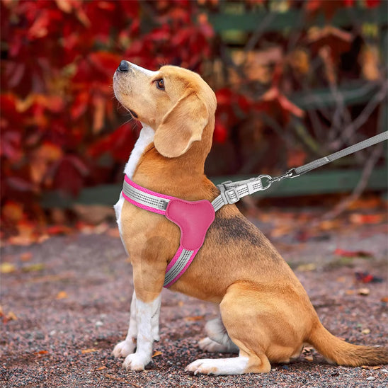 Harnais pour chien GlowFit rose
