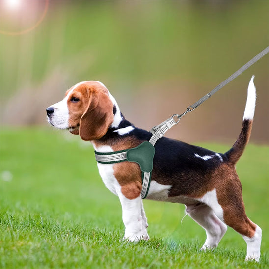 Harnais pour chien GlowFit vert