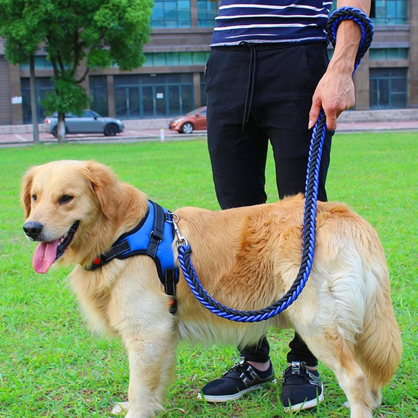 Harnais pour chien - ZenDog™