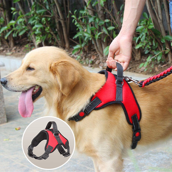 Harnais pour chien - ZenDog™