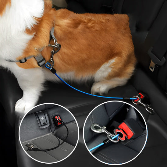 Laisse chien - SafeRide™