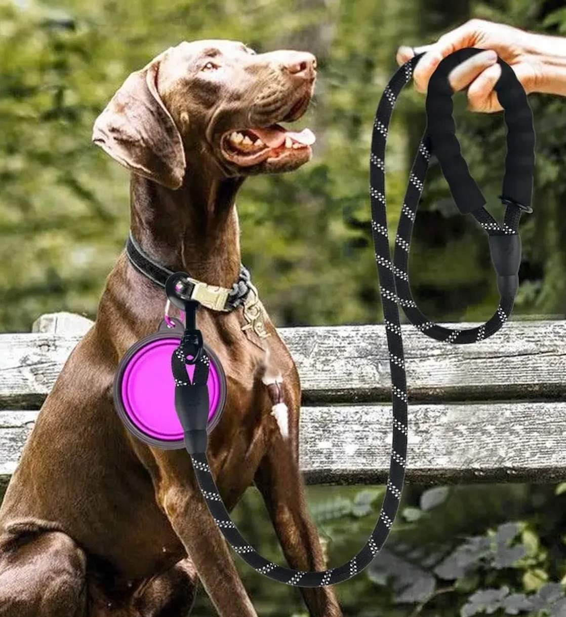 Laisse corde chien LaisseEduc corde