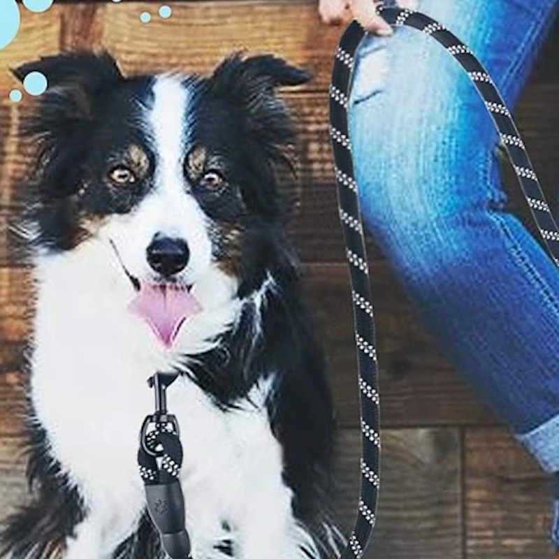 Laisse corde chien LaisseEduc durable