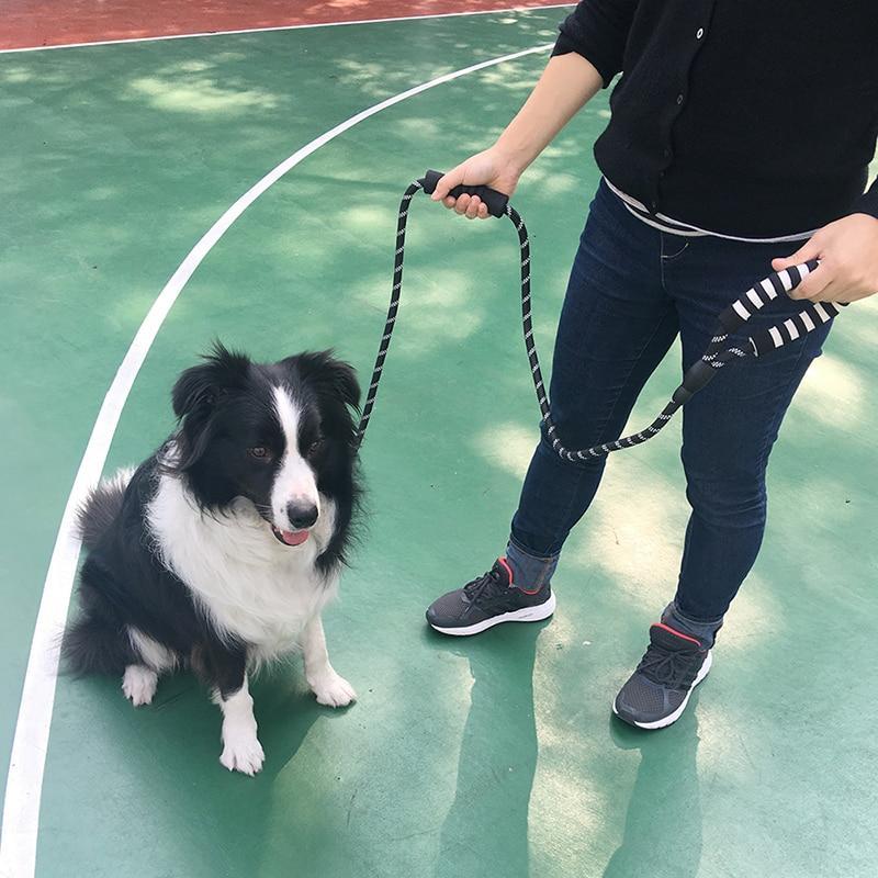 Laisse corde chien LaisseEduc polyvalente