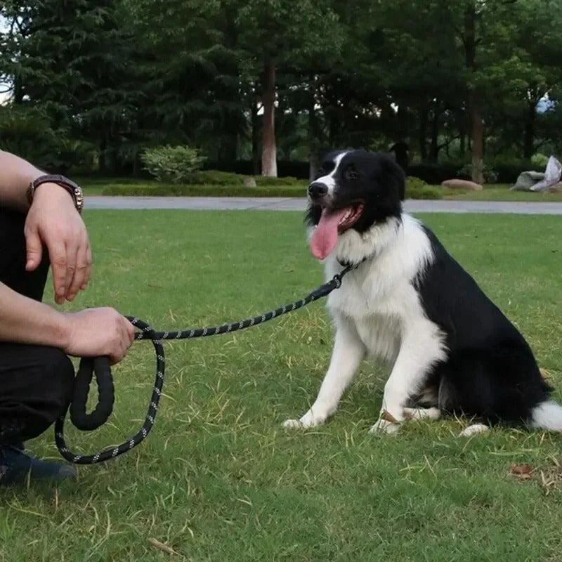 Laisse corde chien LaisseEduc style