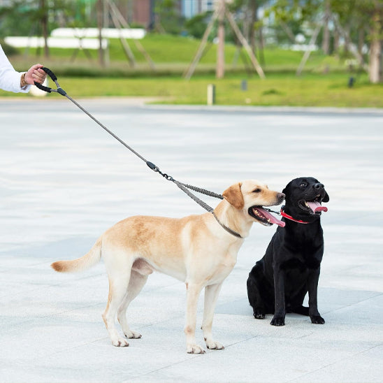 Laisse double pour chien DoubleLine en nylon tissé