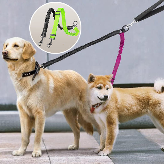 Laisse double pour chien PowerLink fluide