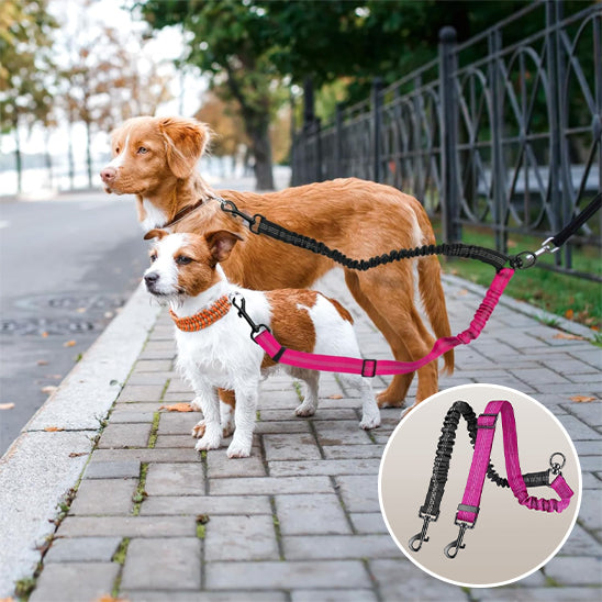 Laisse double pour chien PowerLink robuste