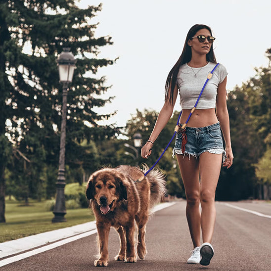 Laisse double pour chien - TwinGo