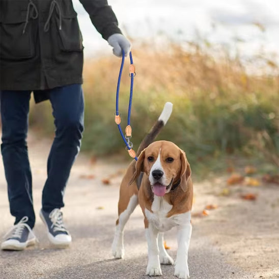 Laisse double pour chien - TwinGo