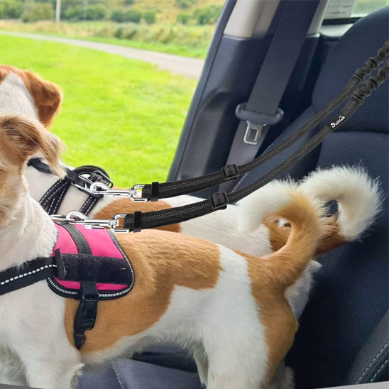 Laisse double pour chien - EasyTrip