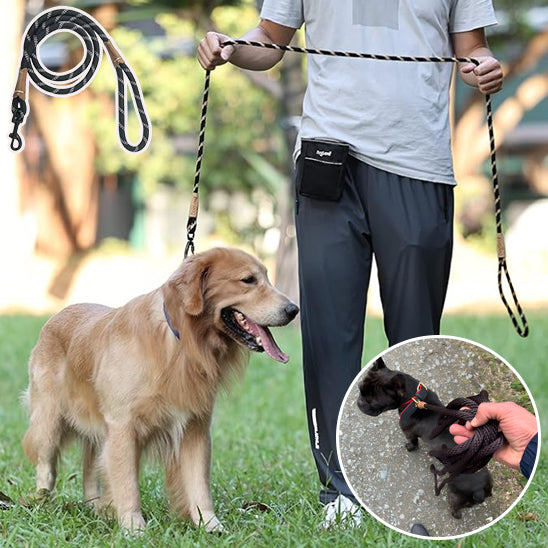 Laisse pour chien GlowFlexRope confortable