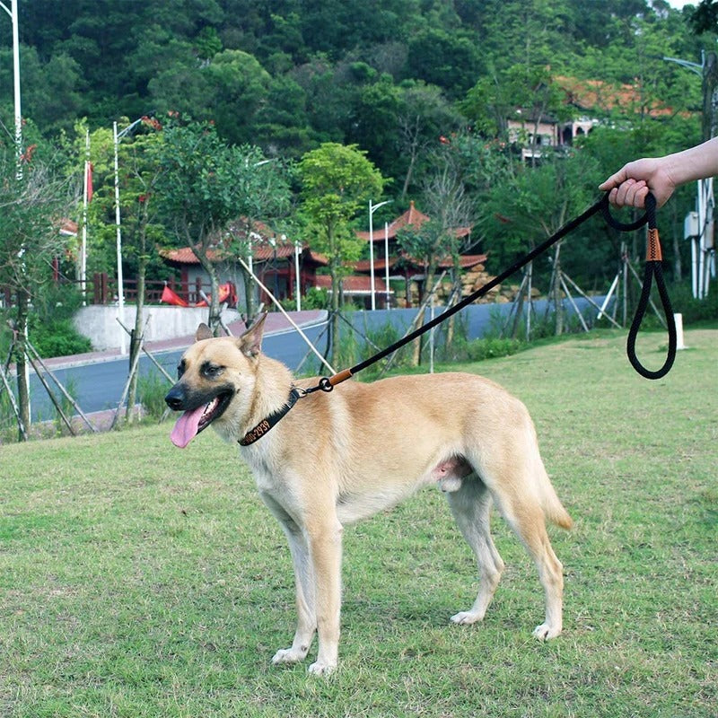 Laisse pour chien GlowFlexRope durable