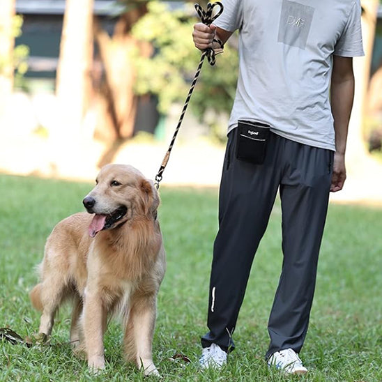 Laisse pour chien GlowFlexRope ergonomique