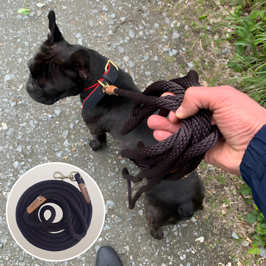 Laisse pour chien GlowFlexRope pratique