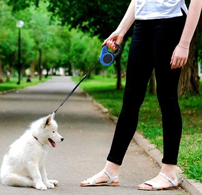Laisse pour chien GoFree™ antiderapante