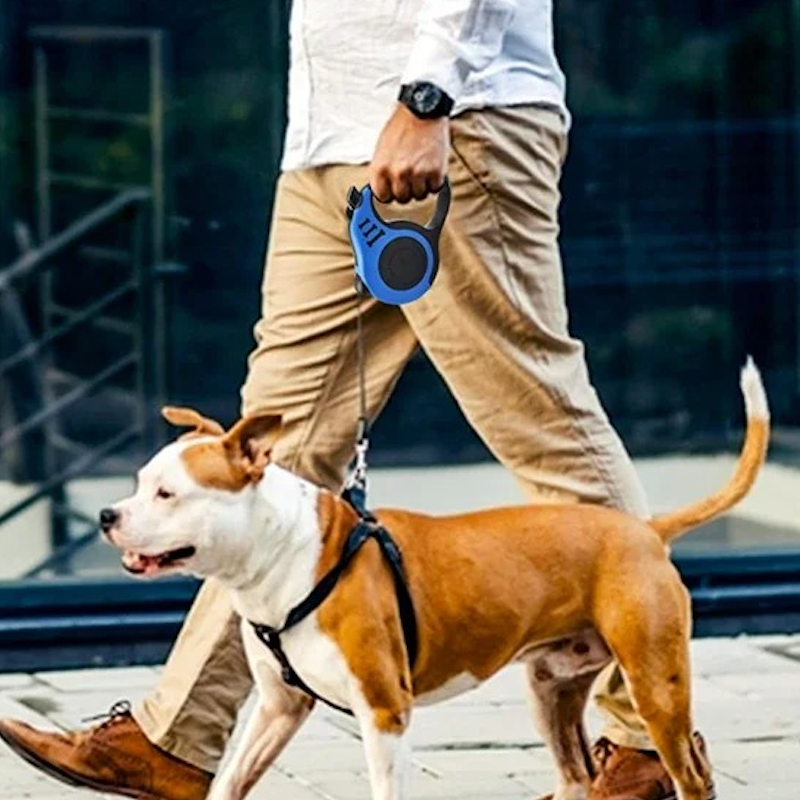 Laisse pour chien GoFree™ durable