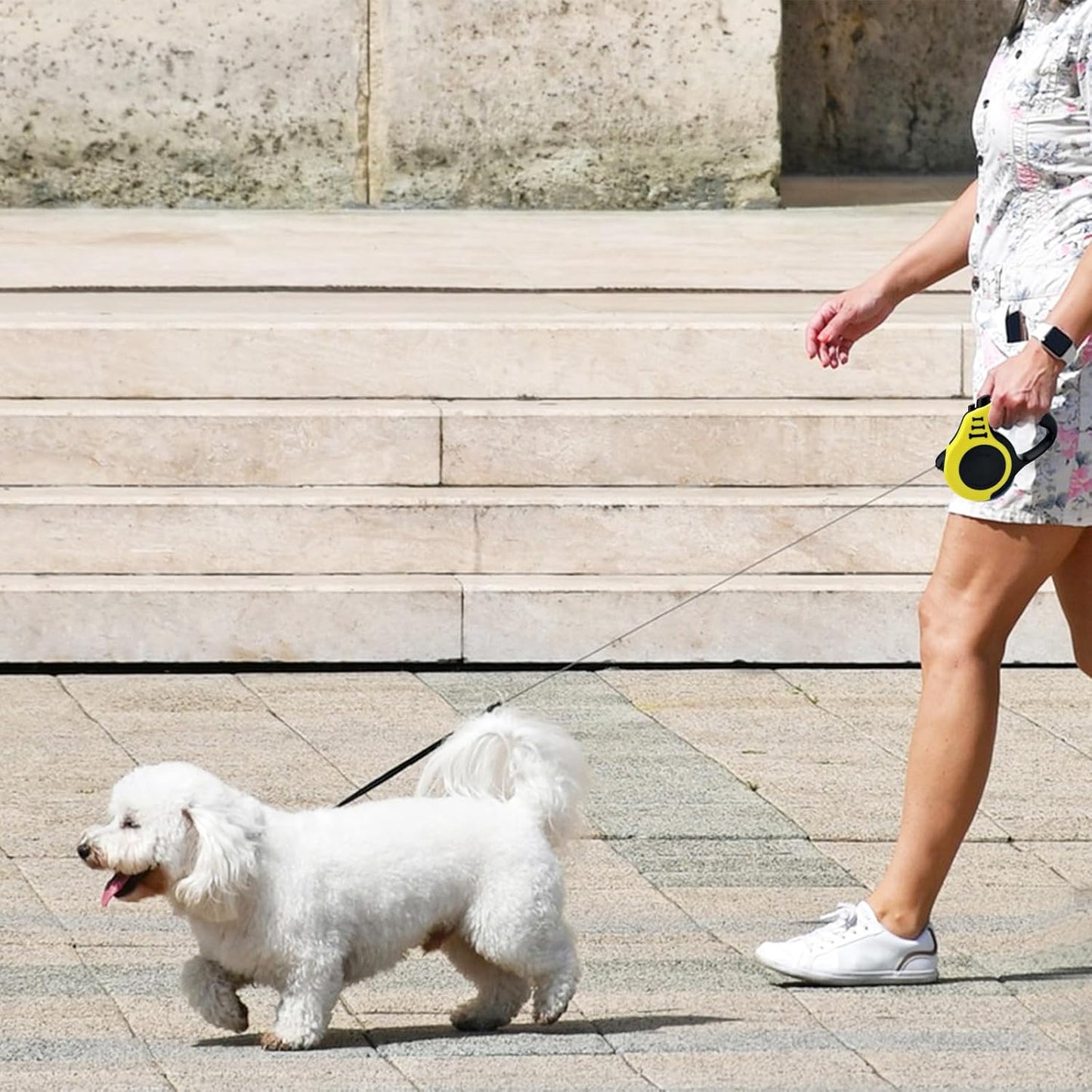 Laisse pour chien GoFree™ ergonomique