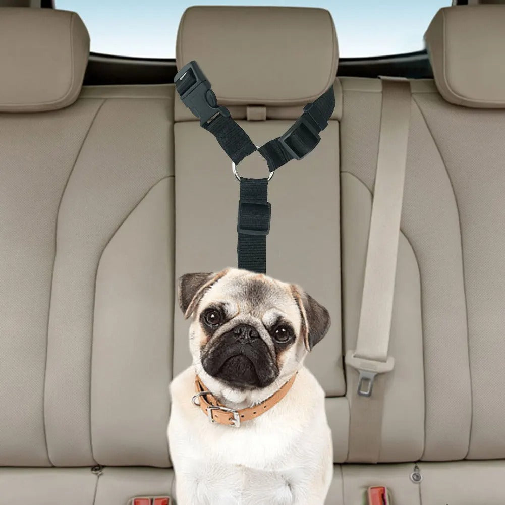 Laisse pour chien PawCarSecure efficace