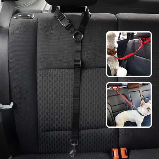 Laisse pour chien PawCarSecure robuste