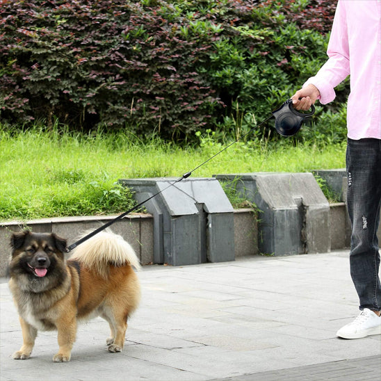 Laisse pour chien - SmartLead