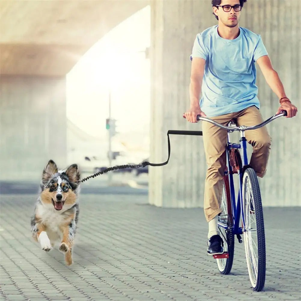 Longe chien FreeMove™ ceinture ajustable