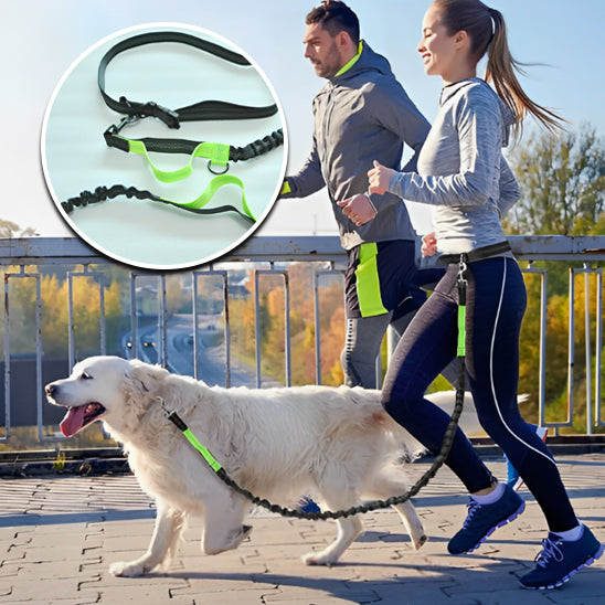 Longe chien FreeMove™ reflechissant