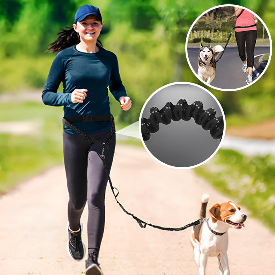 Longe chien FreeMove™ systeme retractable