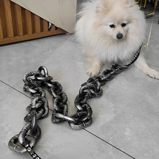 Longe chien - IronLook