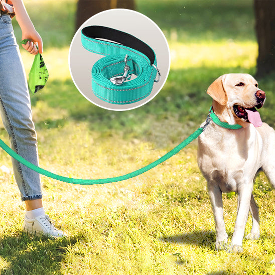 Longe chien Liberti efficace