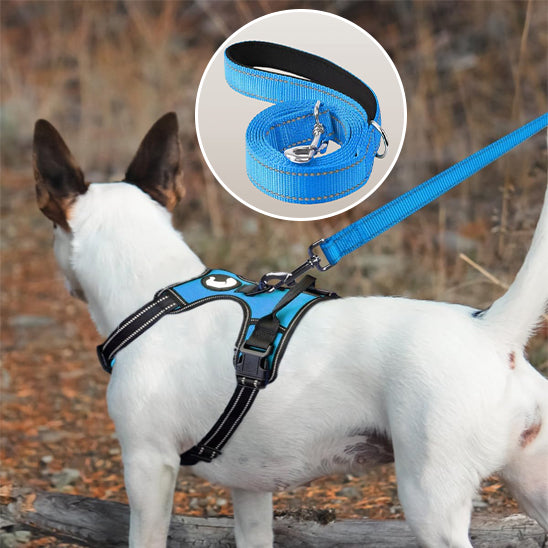 Longe chien Liberti reflechissante